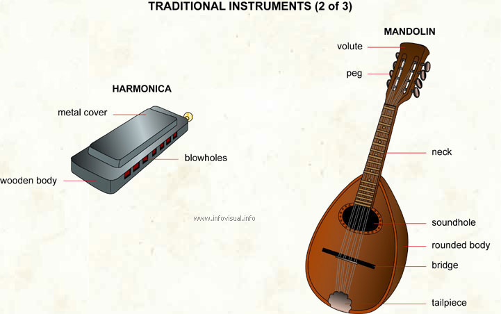 Traditional instruments (2 of 3)  (Visual Dictionary)
